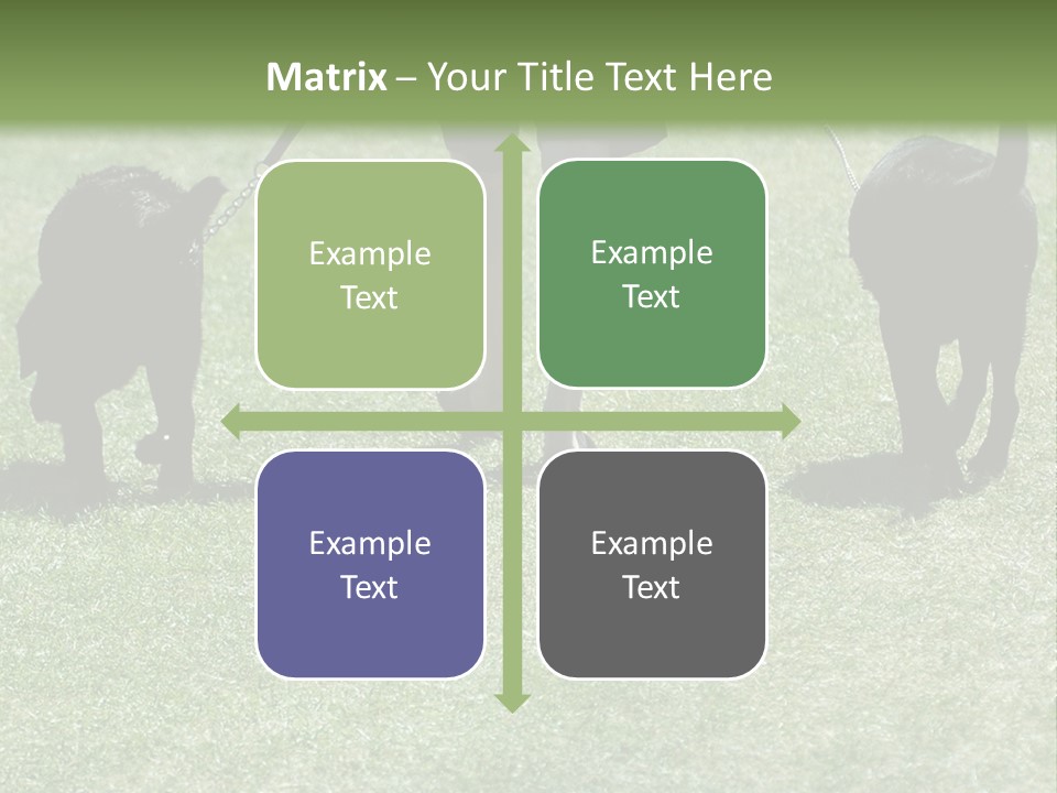 For A Walk PowerPoint Template