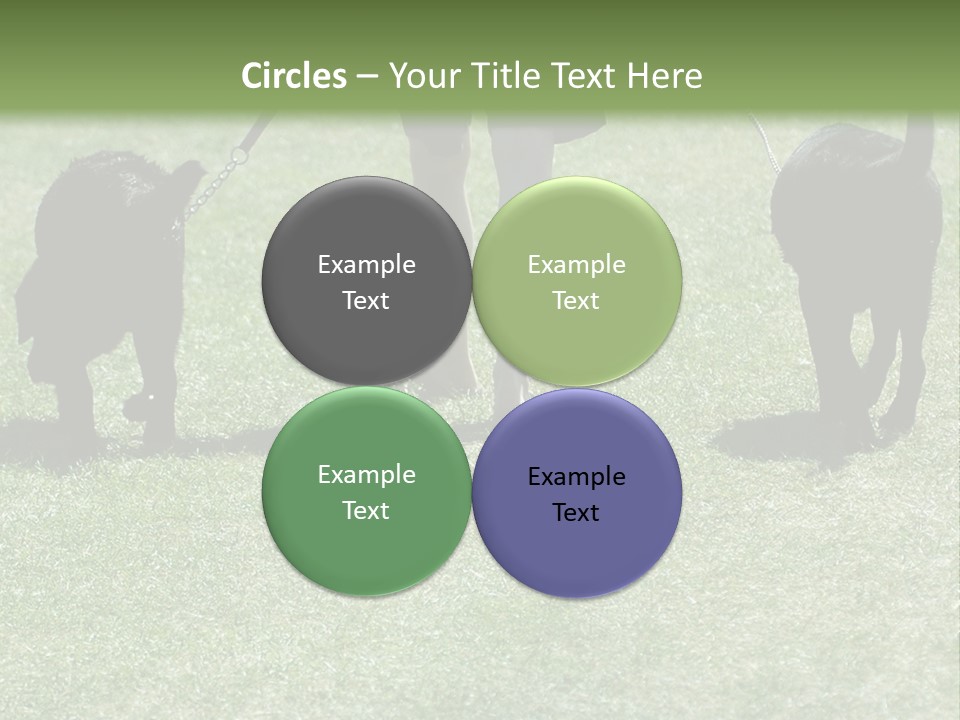 For A Walk PowerPoint Template