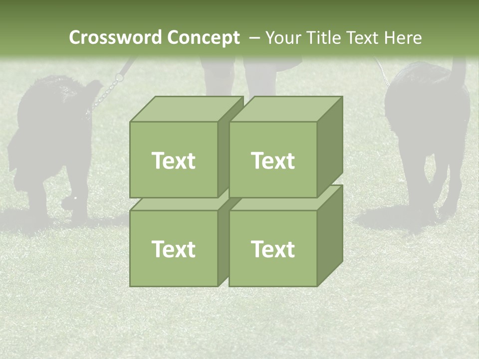 For A Walk PowerPoint Template