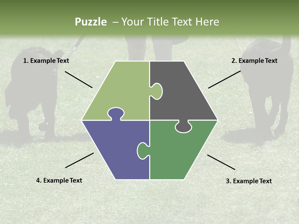 For A Walk PowerPoint Template