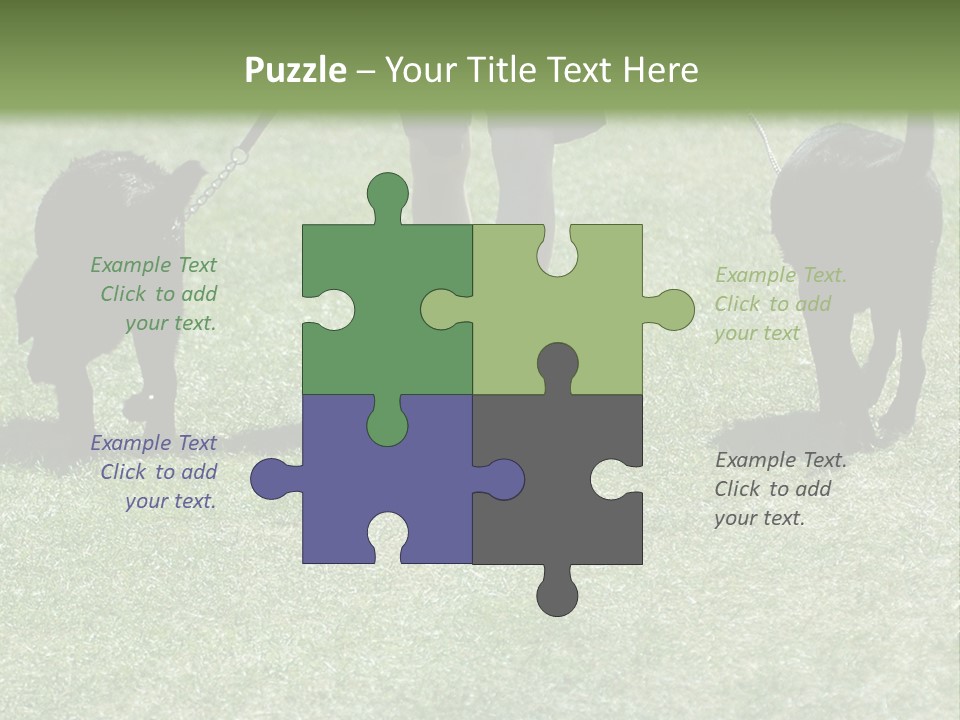 For A Walk PowerPoint Template