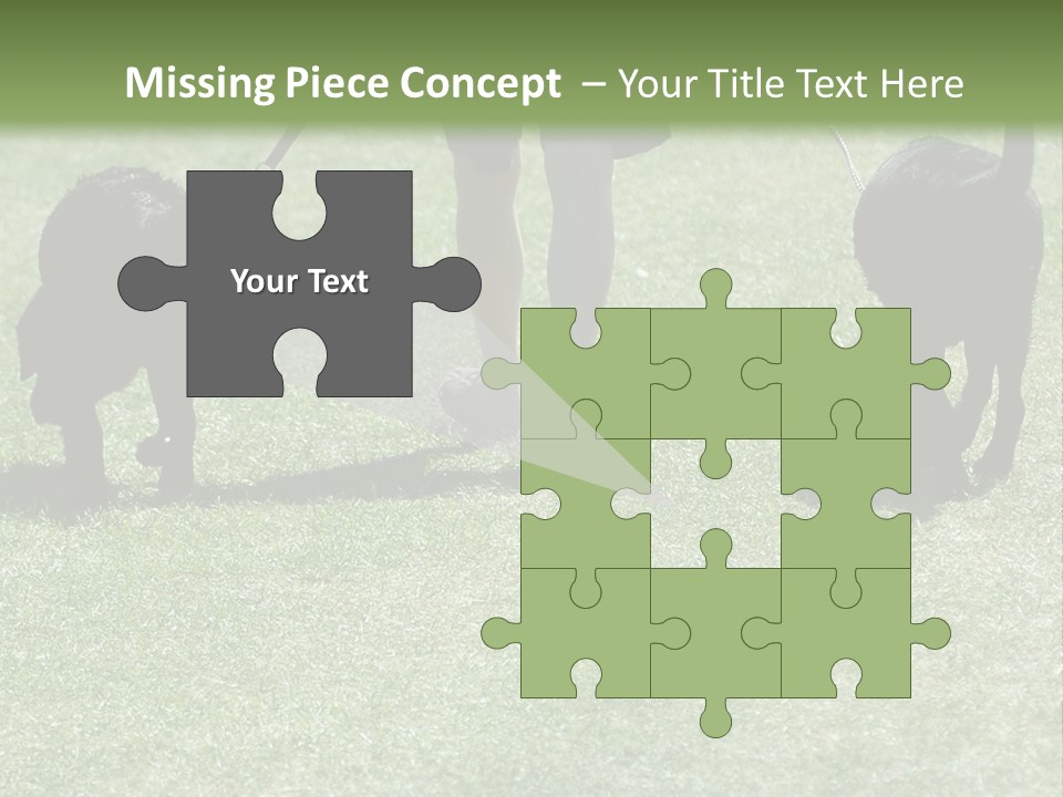 For A Walk PowerPoint Template