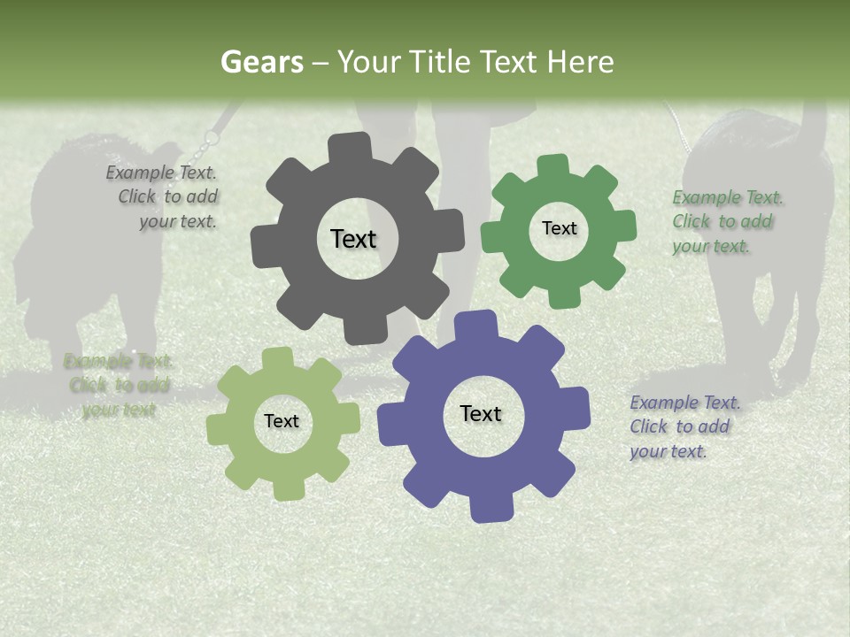 For A Walk PowerPoint Template