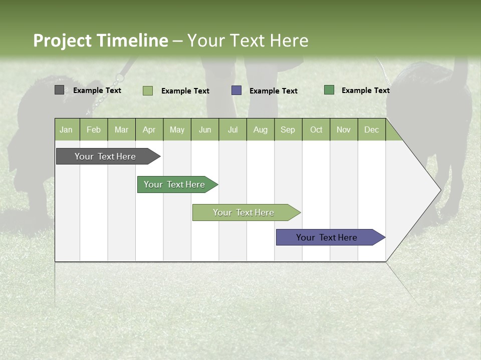 For A Walk PowerPoint Template