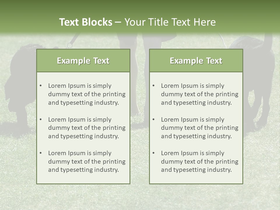 For A Walk PowerPoint Template