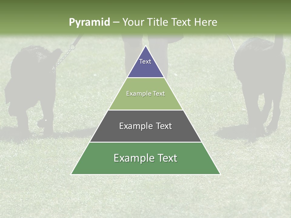 For A Walk PowerPoint Template