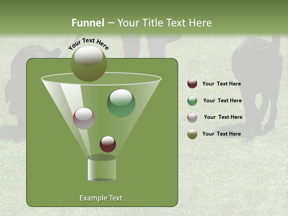 For A Walk PowerPoint Template