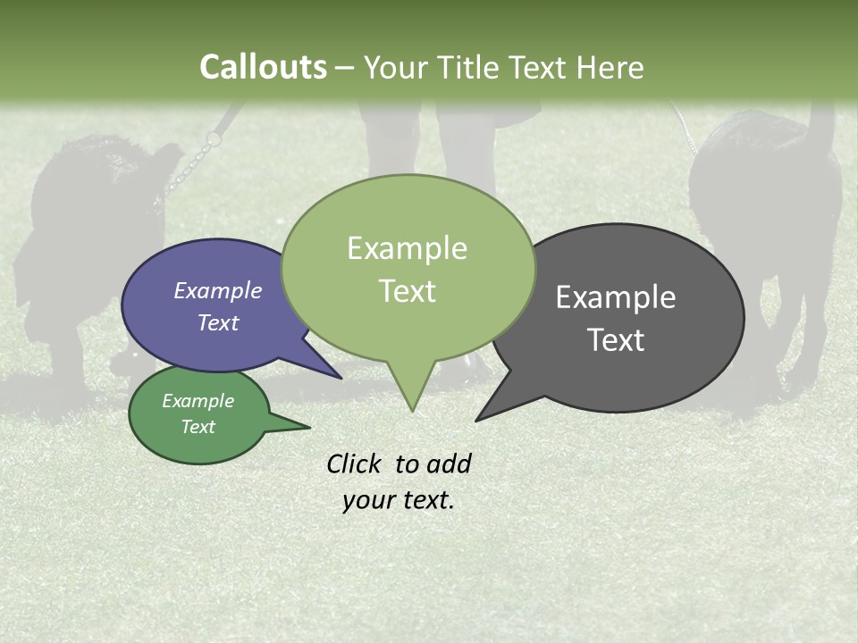 For A Walk PowerPoint Template