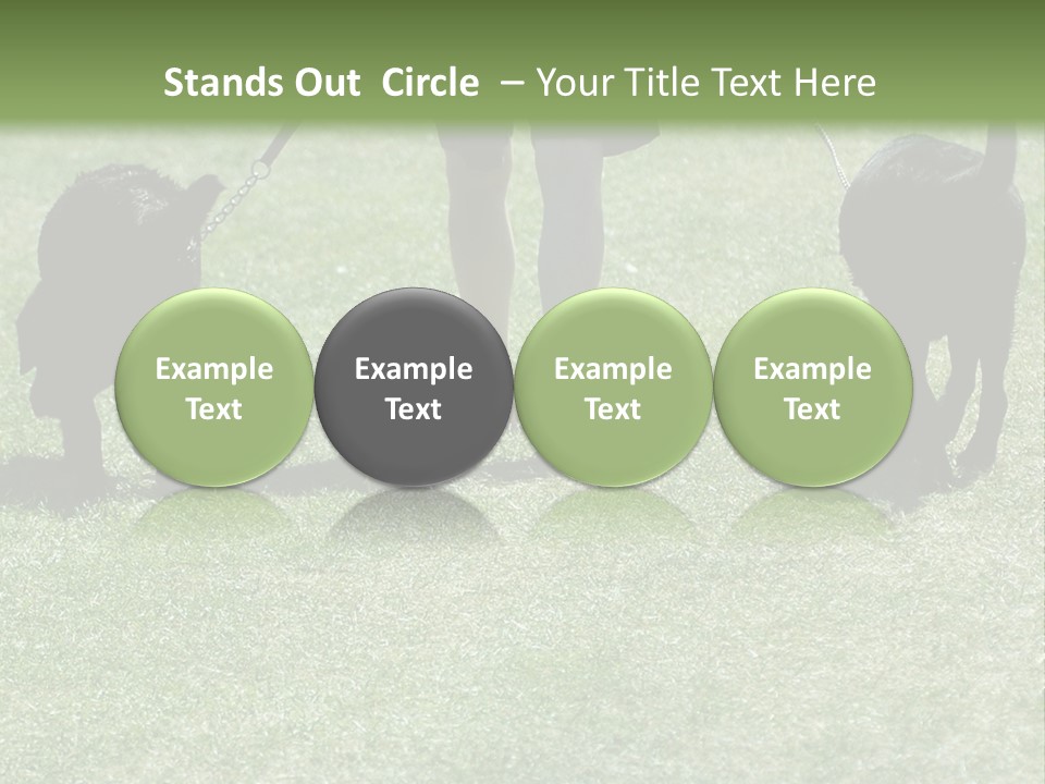 For A Walk PowerPoint Template