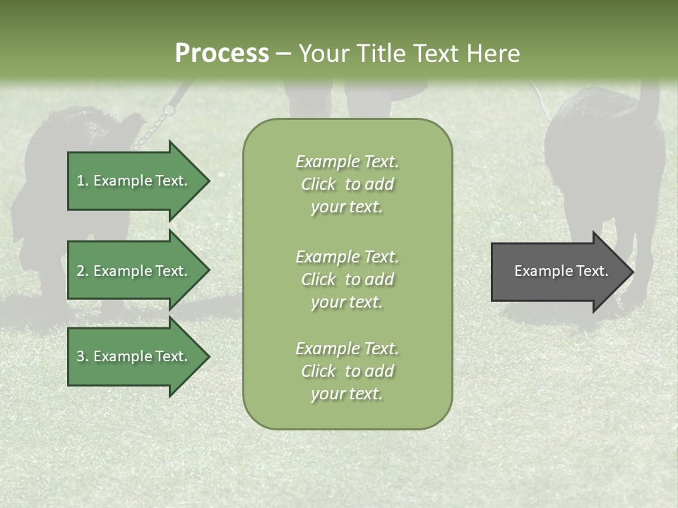 For A Walk PowerPoint Template