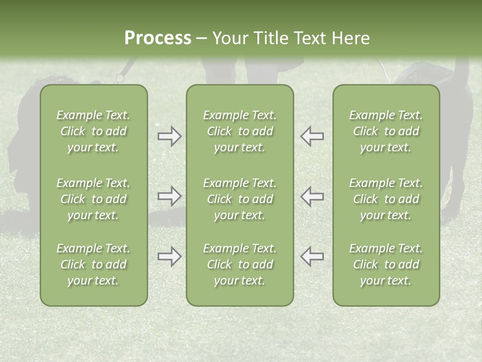For A Walk PowerPoint Template