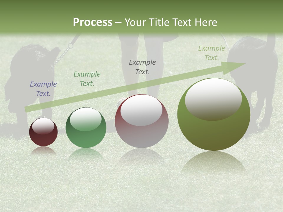 For A Walk PowerPoint Template