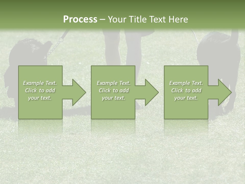 For A Walk PowerPoint Template