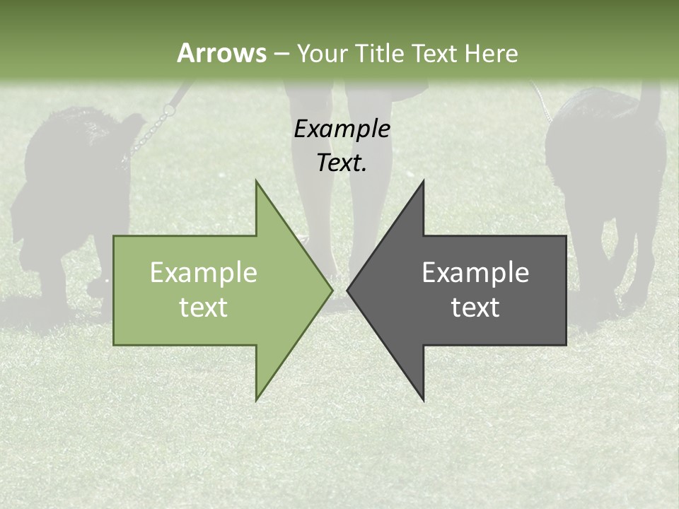 For A Walk PowerPoint Template