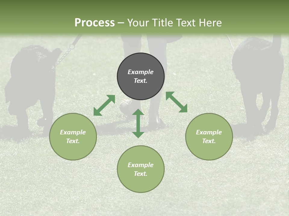 For A Walk PowerPoint Template