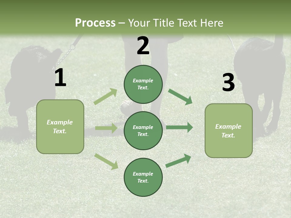 For A Walk PowerPoint Template