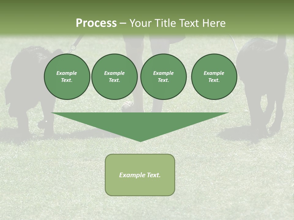 For A Walk PowerPoint Template