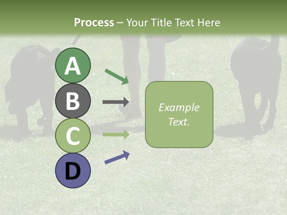 For A Walk PowerPoint Template