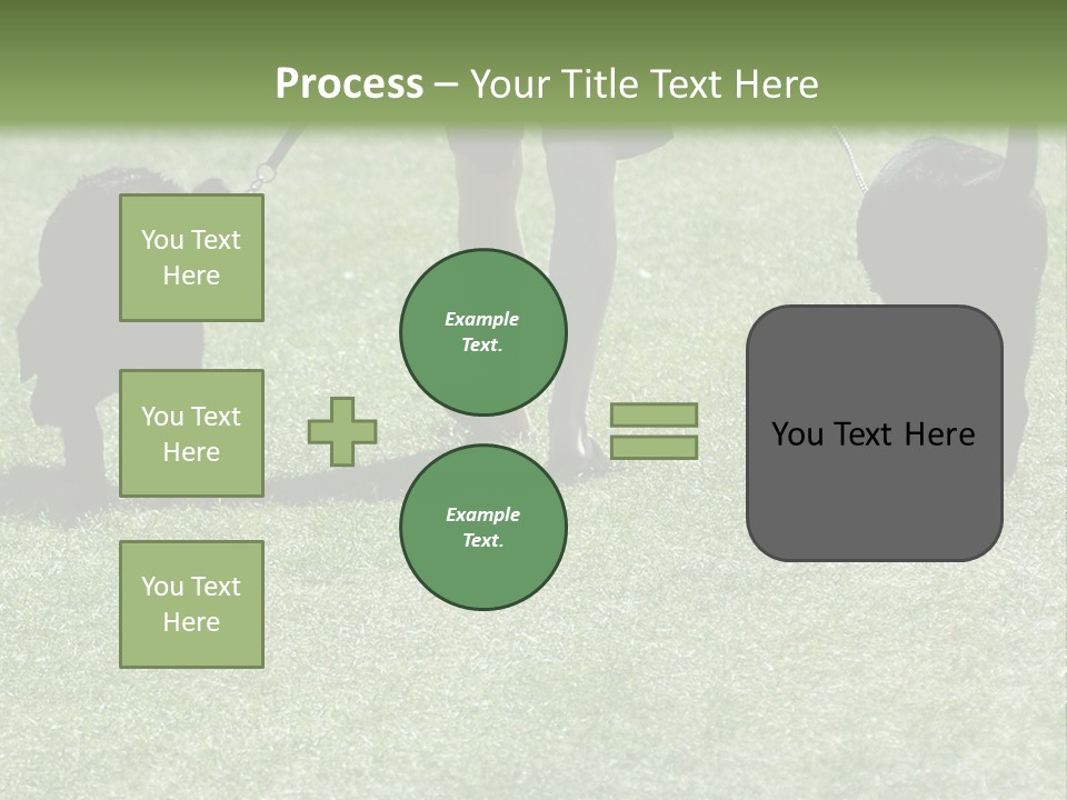 For A Walk PowerPoint Template