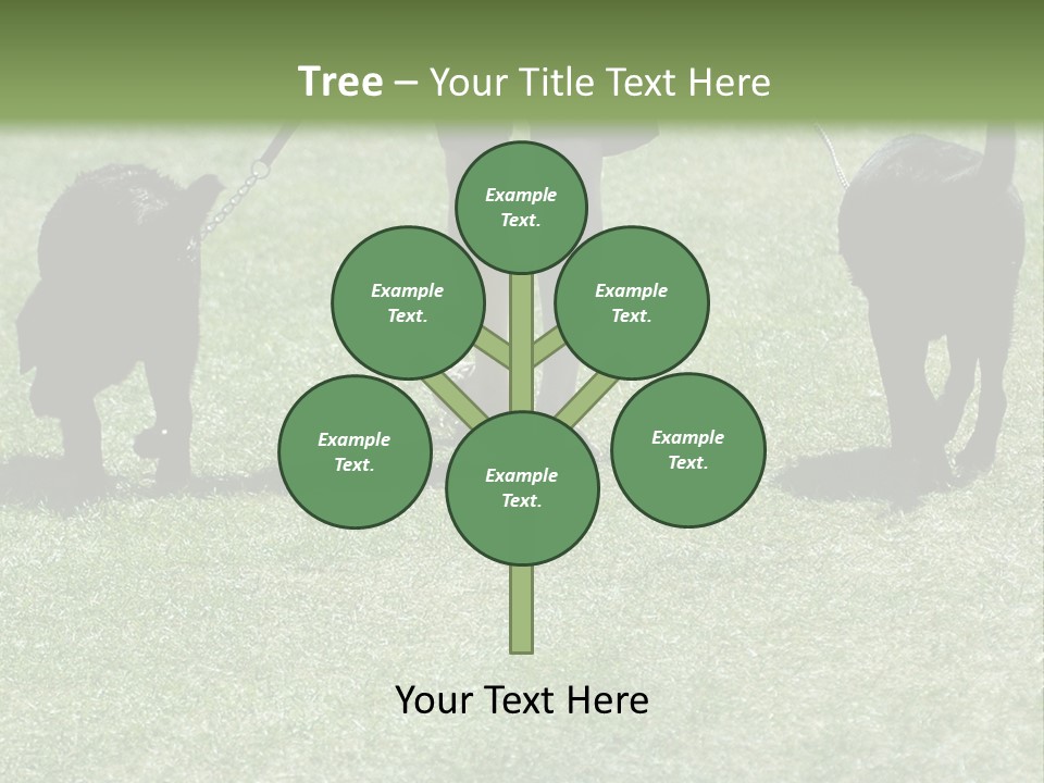 For A Walk PowerPoint Template