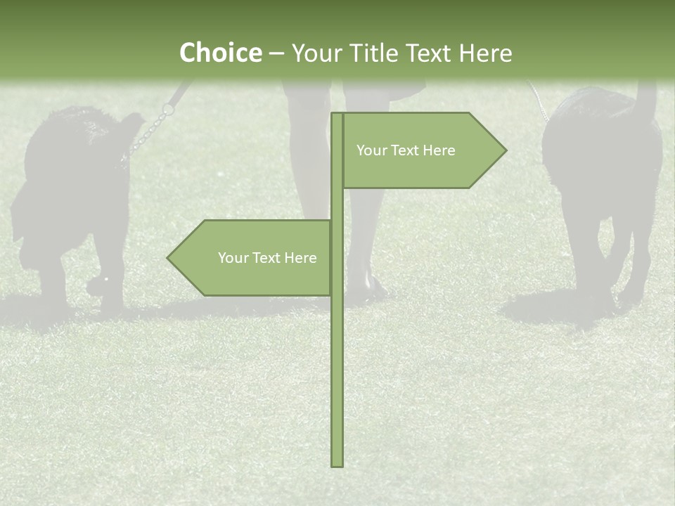 For A Walk PowerPoint Template