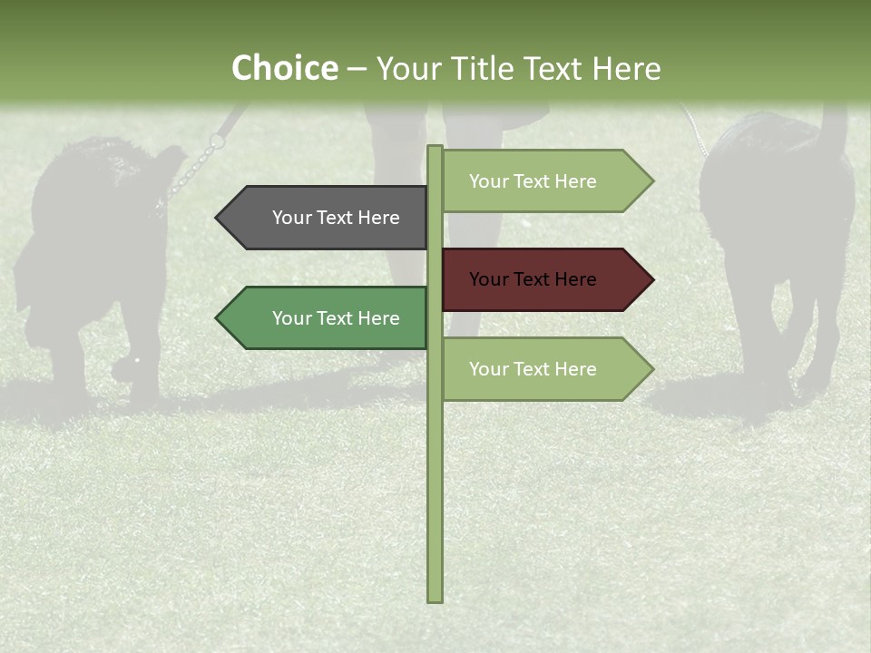 For A Walk PowerPoint Template