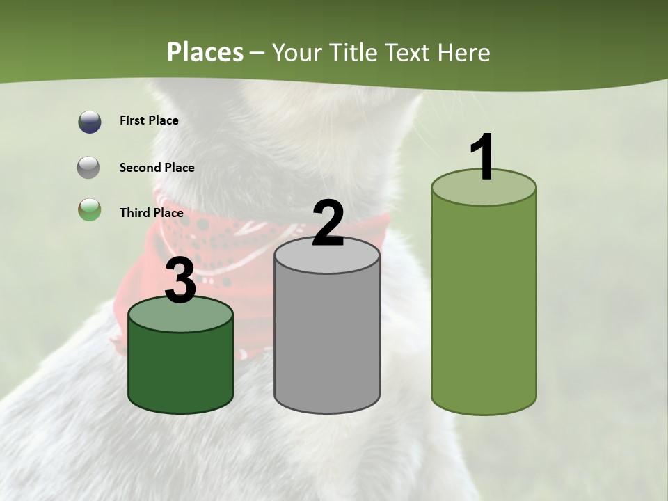 6 Week Old Blue Heeler Puppy Dog PowerPoint Template