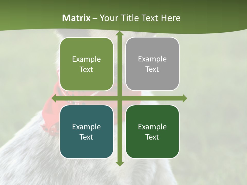 6 Week Old Blue Heeler Puppy Dog PowerPoint Template