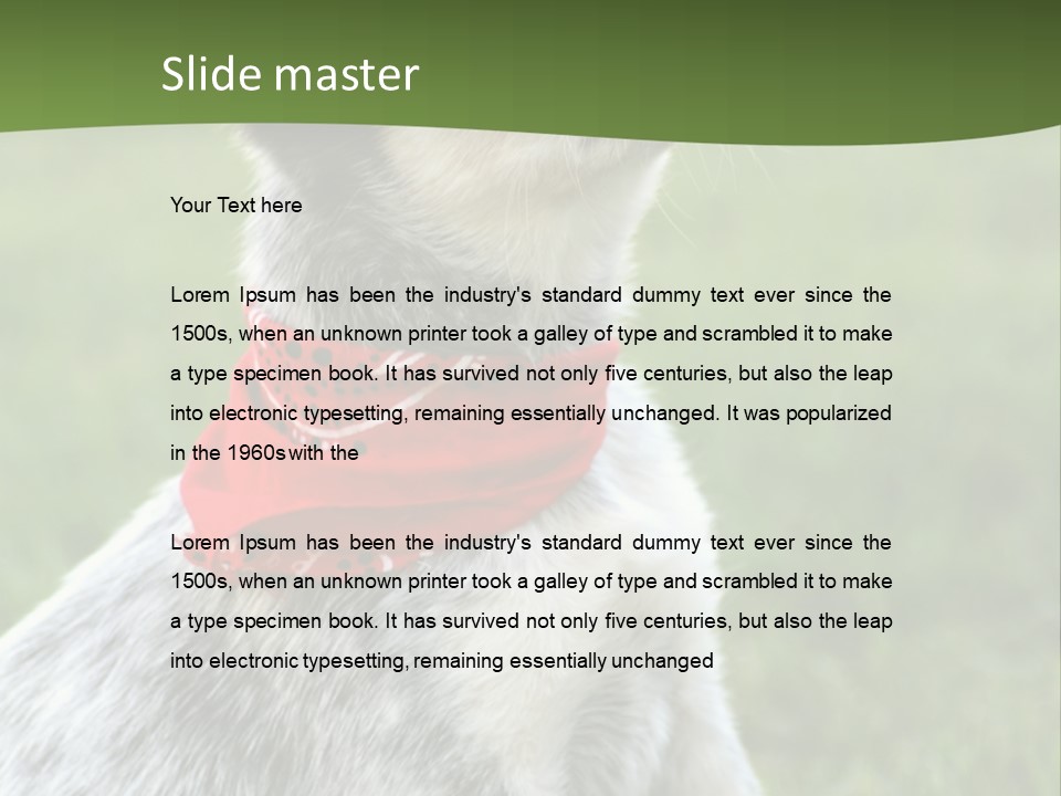 6 Week Old Blue Heeler Puppy Dog PowerPoint Template