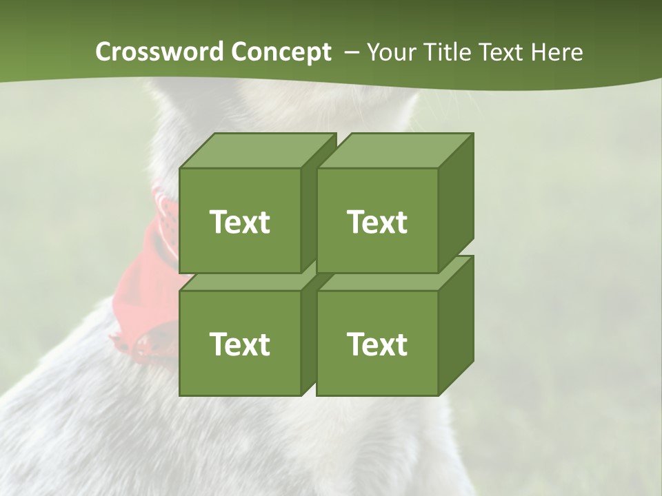 6 Week Old Blue Heeler Puppy Dog PowerPoint Template