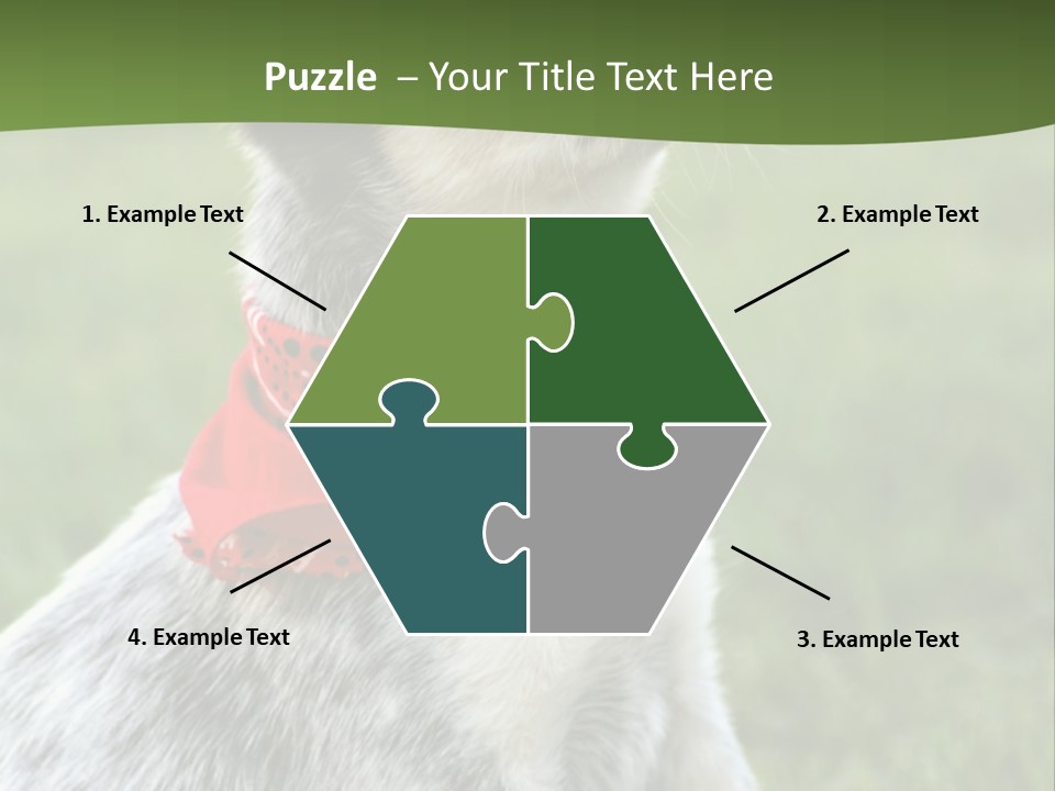 6 Week Old Blue Heeler Puppy Dog PowerPoint Template