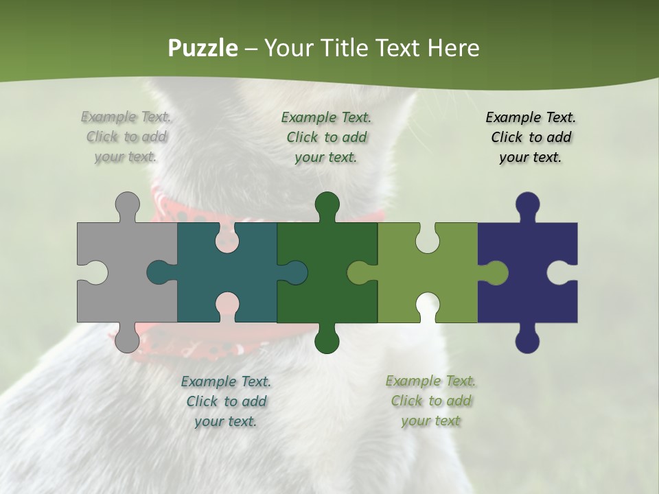 6 Week Old Blue Heeler Puppy Dog PowerPoint Template