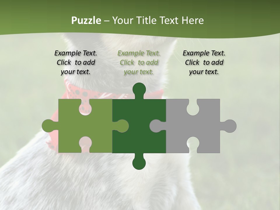 6 Week Old Blue Heeler Puppy Dog PowerPoint Template