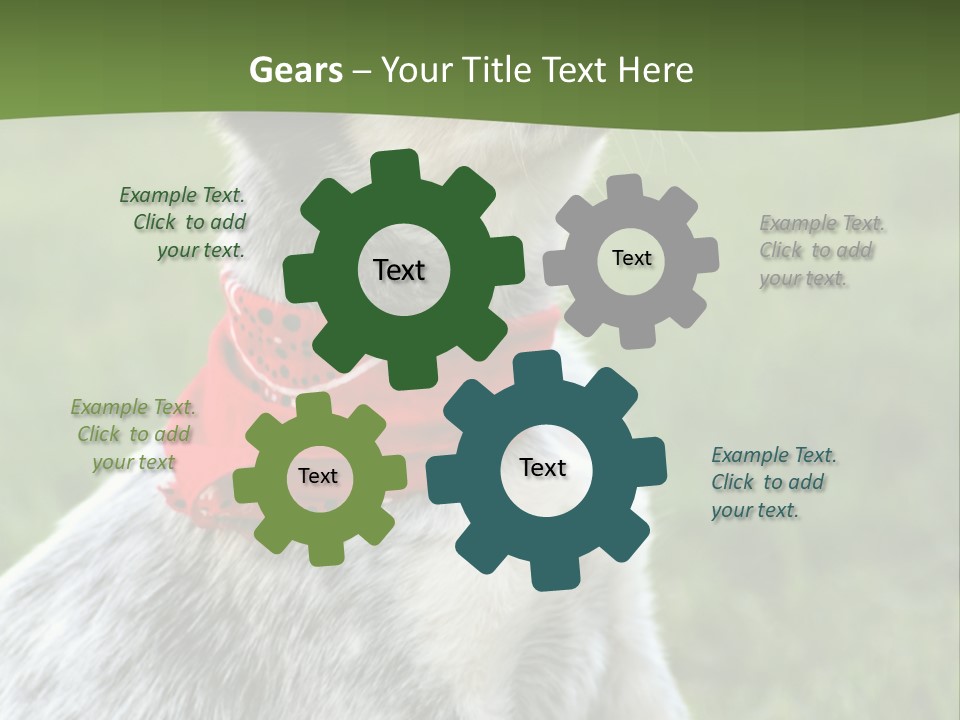 6 Week Old Blue Heeler Puppy Dog PowerPoint Template