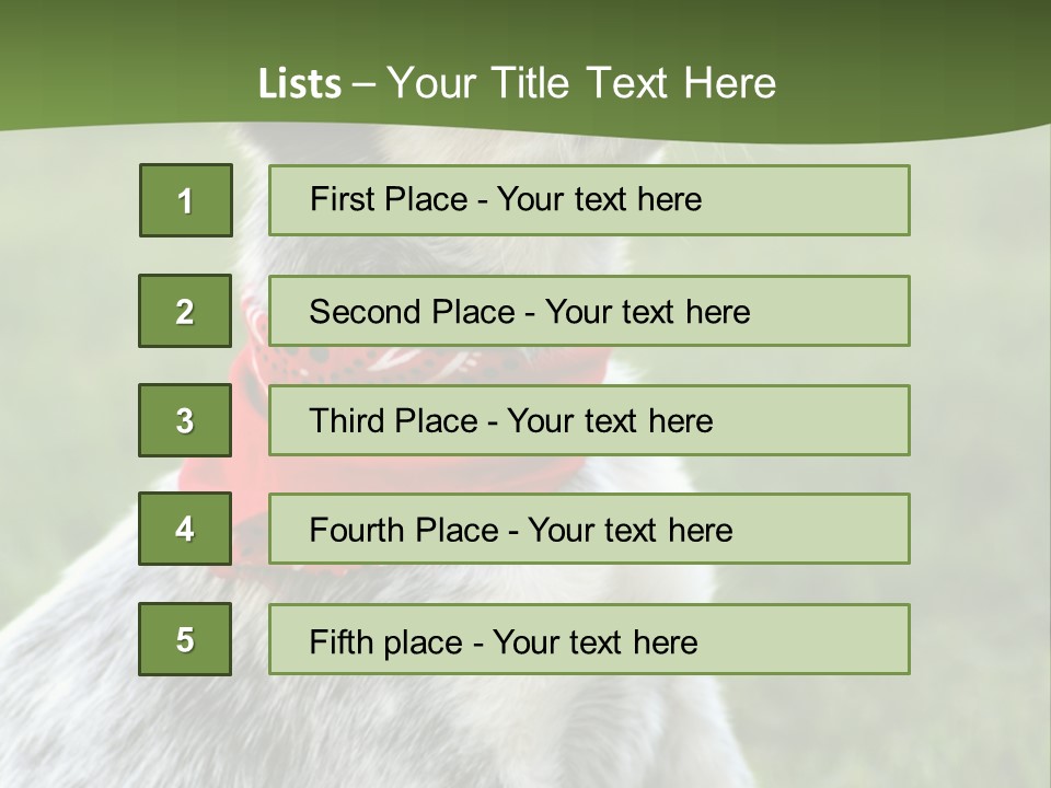 6 Week Old Blue Heeler Puppy Dog PowerPoint Template