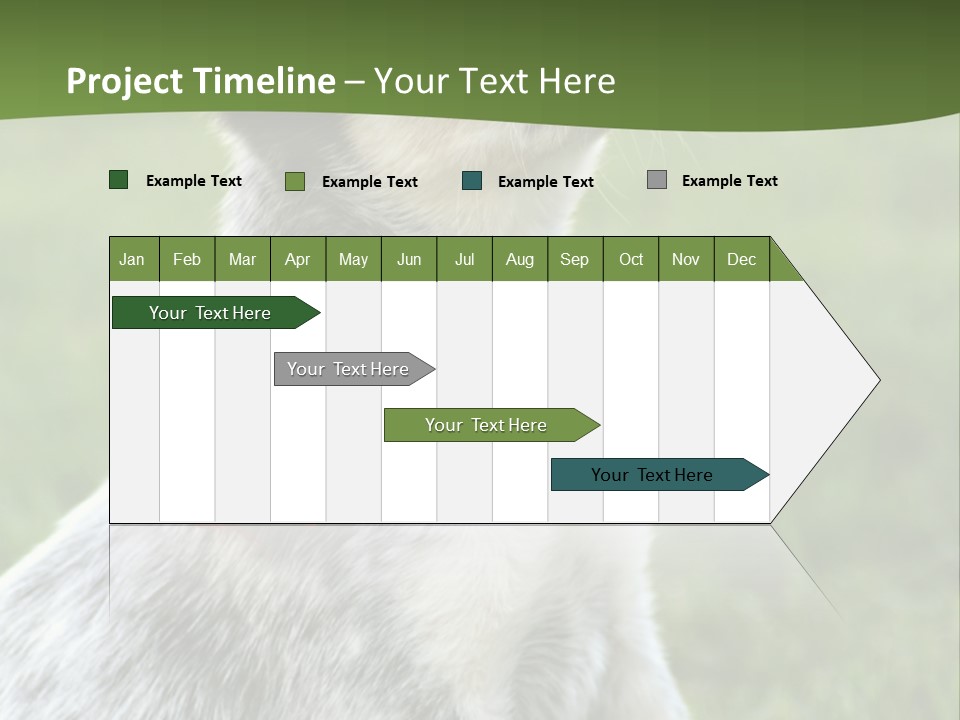 6 Week Old Blue Heeler Puppy Dog PowerPoint Template