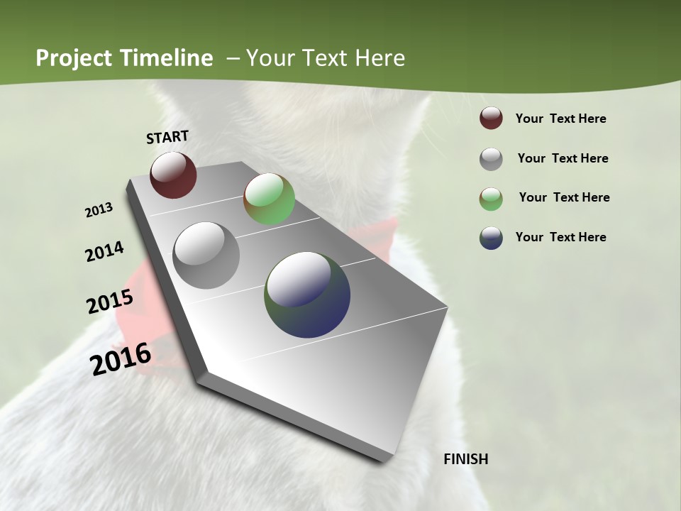 6 Week Old Blue Heeler Puppy Dog PowerPoint Template