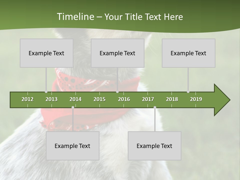 6 Week Old Blue Heeler Puppy Dog PowerPoint Template