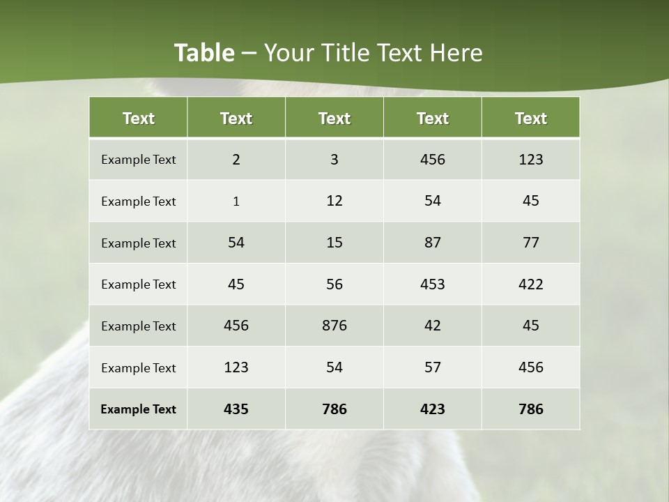 6 Week Old Blue Heeler Puppy Dog PowerPoint Template