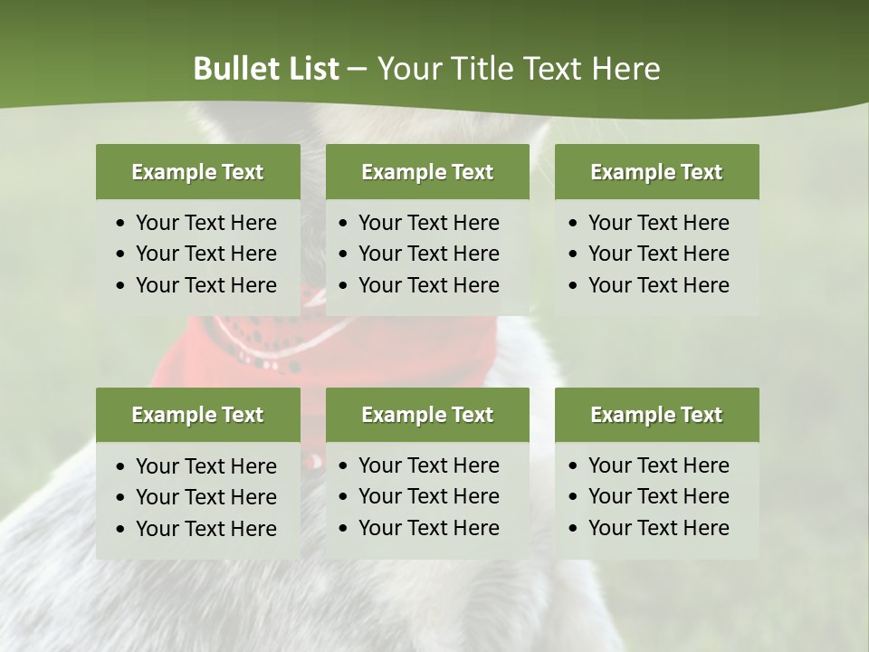 6 Week Old Blue Heeler Puppy Dog PowerPoint Template