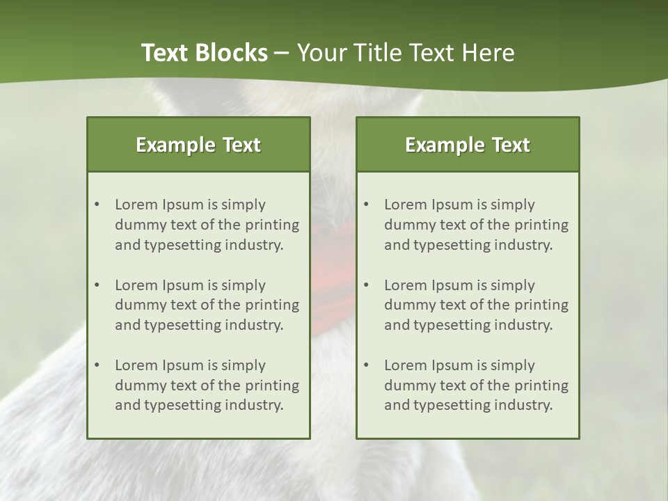 6 Week Old Blue Heeler Puppy Dog PowerPoint Template