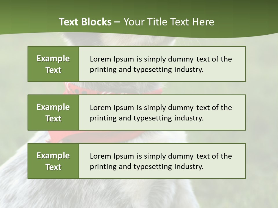 6 Week Old Blue Heeler Puppy Dog PowerPoint Template