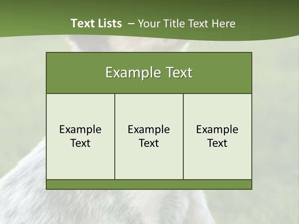 6 Week Old Blue Heeler Puppy Dog PowerPoint Template