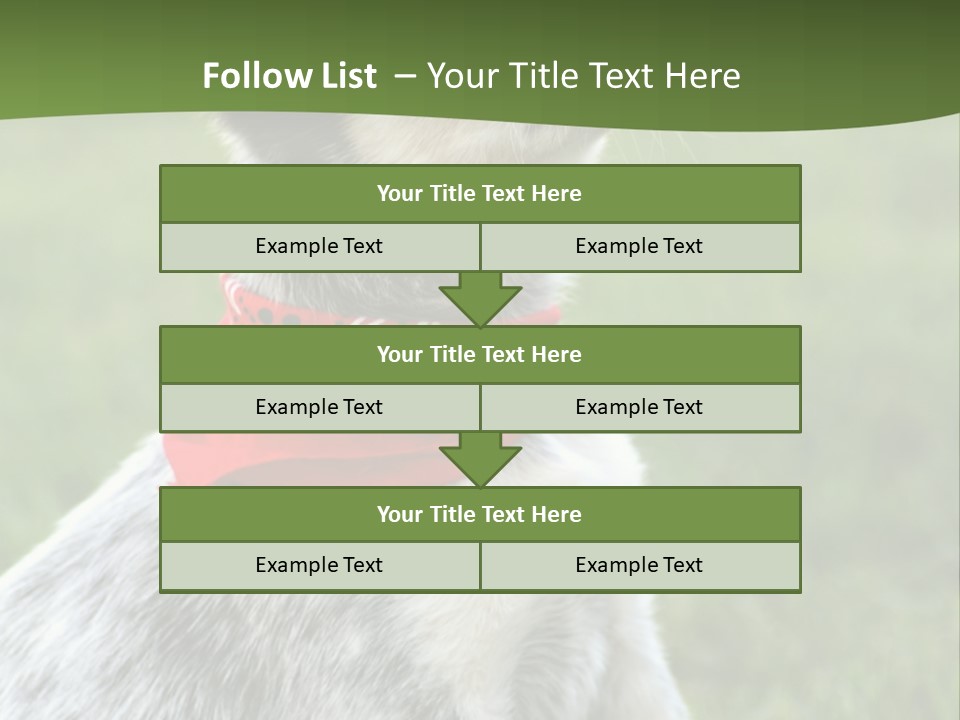 6 Week Old Blue Heeler Puppy Dog PowerPoint Template