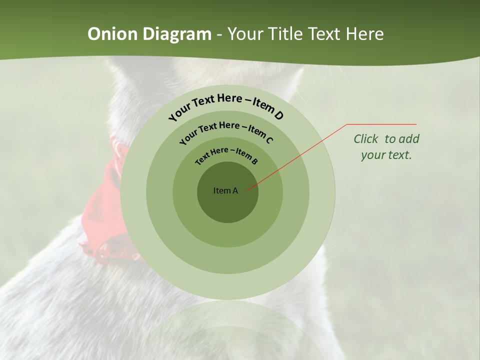 6 Week Old Blue Heeler Puppy Dog PowerPoint Template