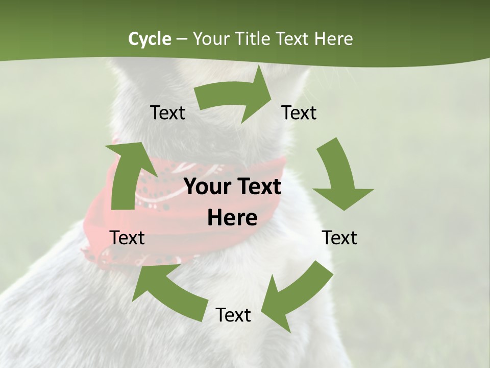 6 Week Old Blue Heeler Puppy Dog PowerPoint Template