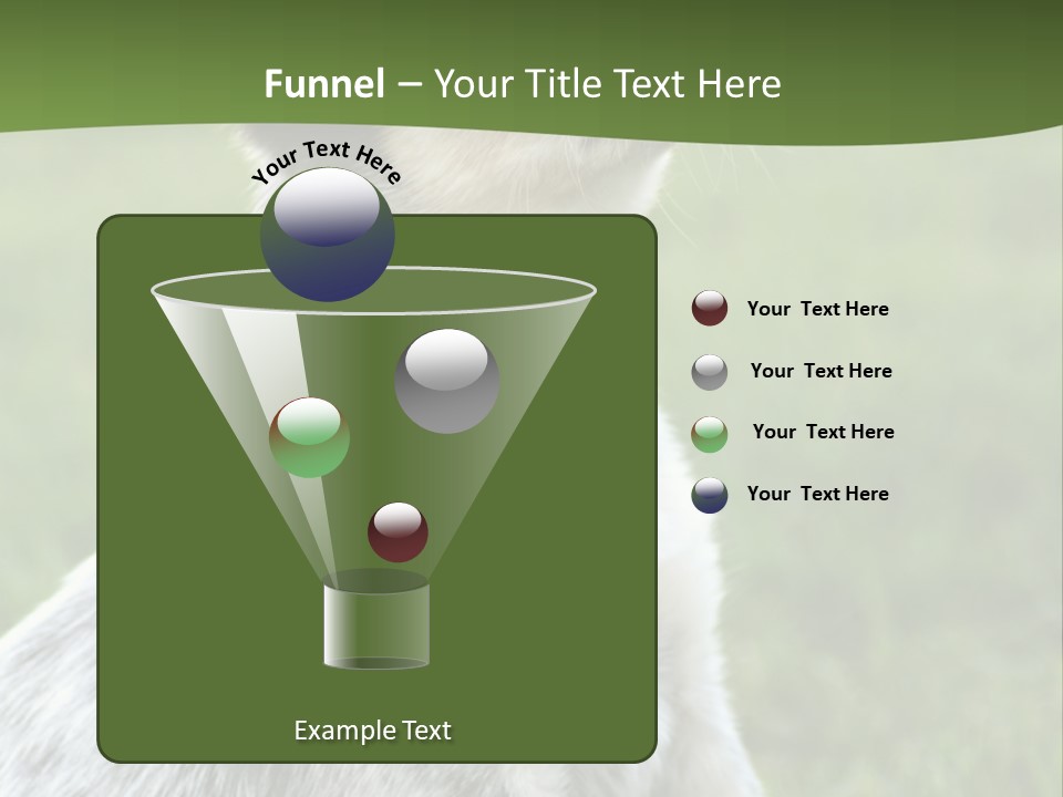 6 Week Old Blue Heeler Puppy Dog PowerPoint Template