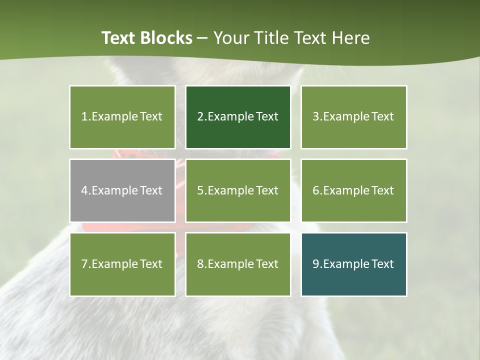 6 Week Old Blue Heeler Puppy Dog PowerPoint Template