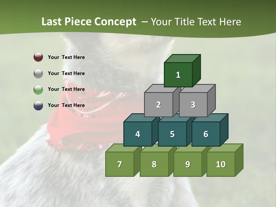 6 Week Old Blue Heeler Puppy Dog PowerPoint Template