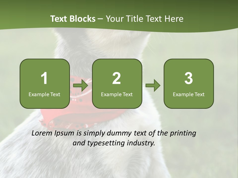 6 Week Old Blue Heeler Puppy Dog PowerPoint Template